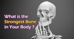 What is the Strongest Bone in Your Body | Know the Truth